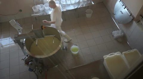 Cheese factory Stock Footage 46654533