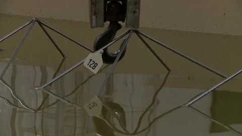 Cheese factory Video stock 81992278