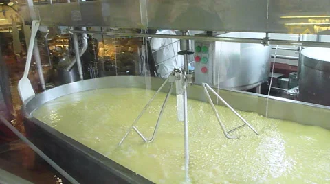 Cheese Factory In Full Operation Stock Footage 66519148