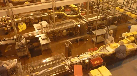 Cheese Factory Line Stock Footage 34224556