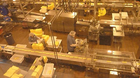 Cheese Factory Line Time Lapse Stock Footage 34224616