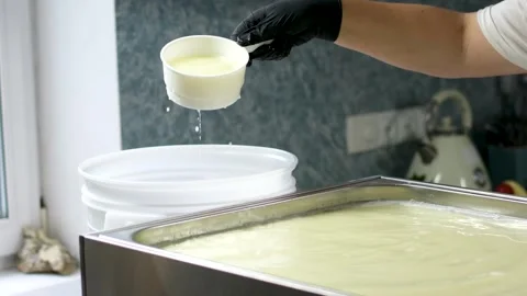 Cheese factory preparing yoghurt, pumpkin cheese, Caciocavallo mozzarella and Stock Footage 274814088