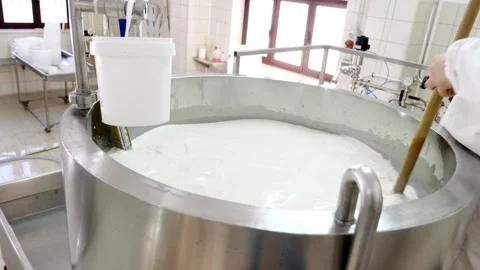 Cheese factory. Process of fermentation of milk and whey separation in tank. 스톡 동영상 336444338