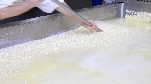 Cheese factory. Process of fermentation of milk and whey separation in tank. 스톡 동영상 336444345