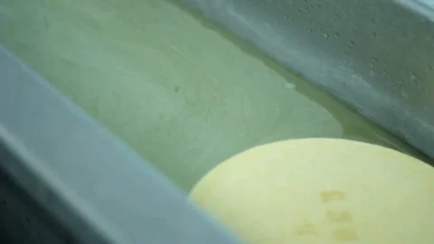 Cheese factory. Process of fermentation of milk and whey separation in tank. 스톡 동영상 336444430