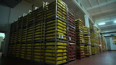 Cheese Factory Worker Moving Fermenting Milk Video stock 69102648