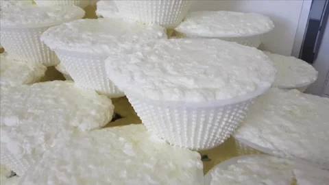 Cheese factory workers break the lumpy milk dough to be processed into cheese Video stock 336444349