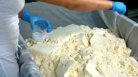 Cheese factory workers break the lumpy milk dough to be processed into cheese Video stock 336444359