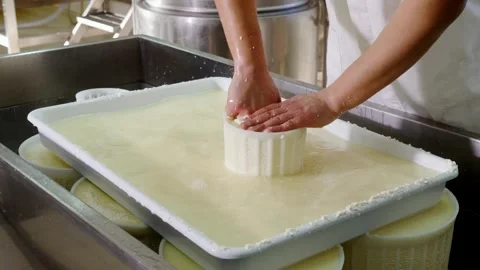 Cheese factory workers break the lumpy milk dough to be processed into cheese Stock-Footage 336444366