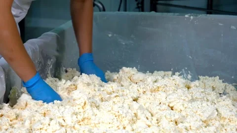 Cheese factory workers break the lumpy milk dough to be processed into cheese Stock-Footage 336444368