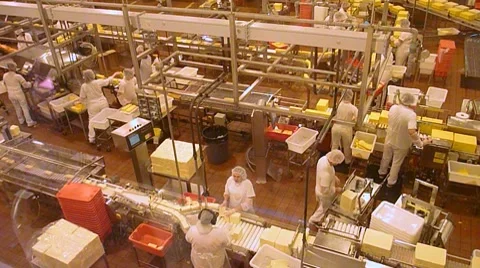 Cheese Factory Workers Stock Footage 8639410