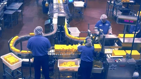 Cheese factory workers Stock Footage 56419337