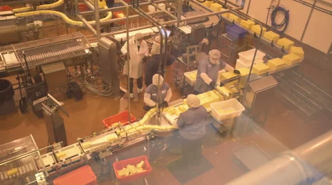 Cheese factory workers medium shot Video stock 65411623