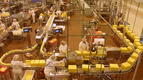 Cheese Factory Workers Real Time Stock Footage 8639181