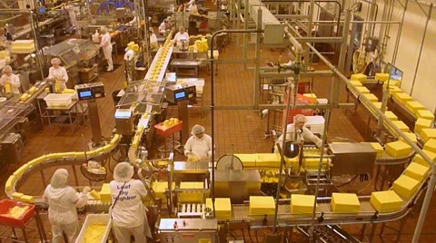cheese factory cheese factory