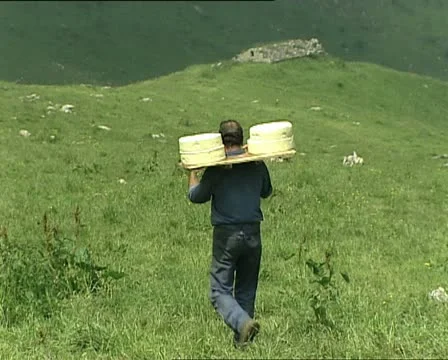 CHEESE farmer carrying cheeses Stock Footage