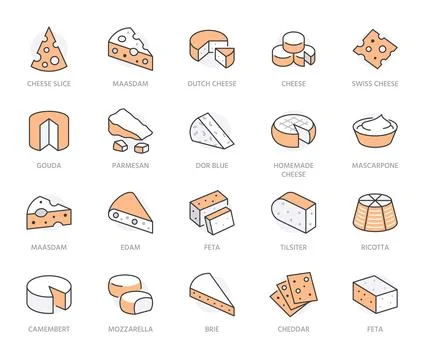 Cheese flat line icons set. Parmesan, mozzarella, yogurt, dutch, ricotta, butter イラスト素材