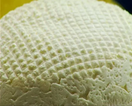 Cheese Stock Footage 10718015