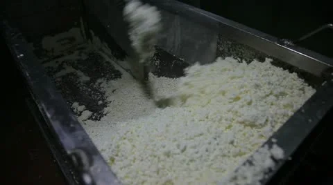 Cheese 스톡 동영상 11054208