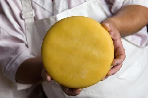 Cheese in hands Stock Photos