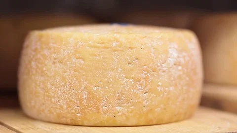 Cheese head Vídeos de archivo 85382501