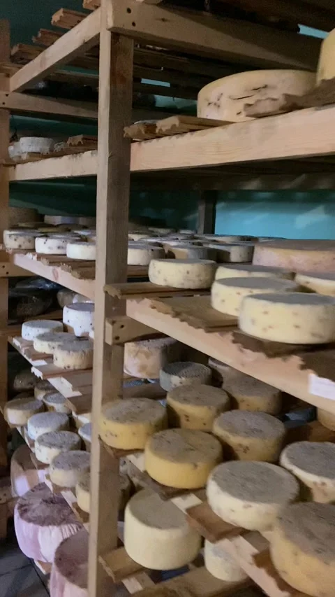 Cheese heads are dried in a warehouse, special shelves, and the cooking process Stock Footage 322008075
