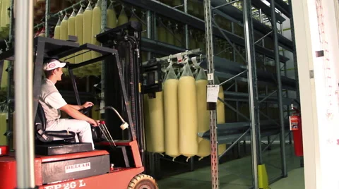 Cheese industrial storage Stock-Footage 61194325