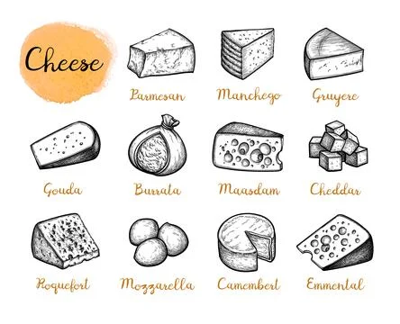 Cheese ink drawings set. Stock Illustration