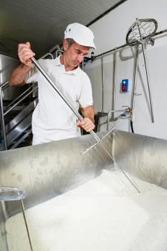 Cheese maker cut the curd Stock Photos