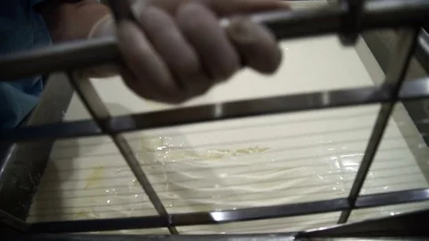  Cheese-maker Cuts the Curd into Cubes special Wire Knife Stock Footage 71501740