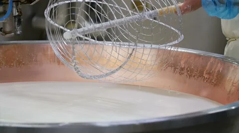 Cheese maker cuts the curd Stock Footage 60980138