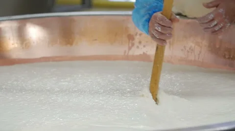 Cheese maker cuts the curd Stock Footage 60980170