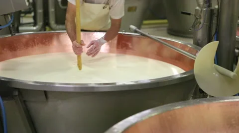Cheese maker cuts the curd Stock Footage 60980172