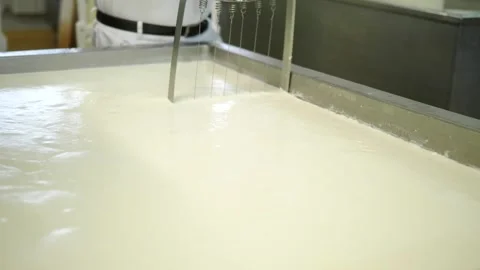 Cheese maker shuffles cheese mass in stainless steel container for making cheese Stock Footage 269121880