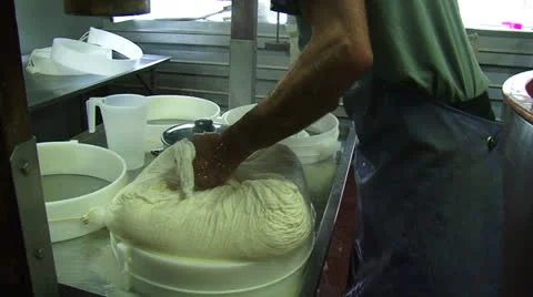 Cheese maker transfers curd mass in cheese molds using a linen cloth Stock Footage 22583349
