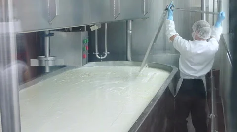 Cheese Maker At Work Stock Footage 66518746