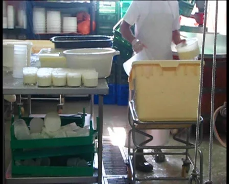 Cheese making Видео 280862