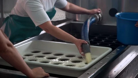 Cheese making process. Chees maker pours cheese into tray. Stock Footage 119772281