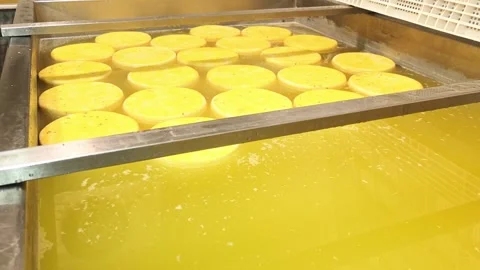 Cheese making process at a dairy farm in the countryside during afternoon hours Stock Footage 325734783