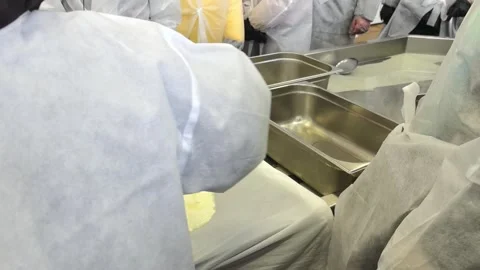 Cheese making process at a local dairy farm in morning hours with people partici Stock Footage 325727801