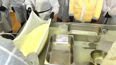 Cheese making process at a local dairy farm in the countryside during daytime Stock Footage 325728814