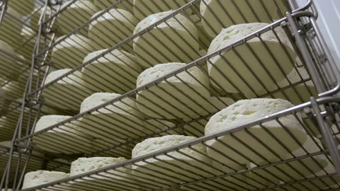 Cheese Making. The Sheep Cheese Ripens on the Shelves Stock Footage 87611122