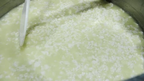 Cheese Making: Stirring Fresh Curds in a Vat Stock Footage 321466610