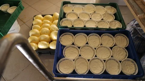 Cheese manufacture Stock Footage 64557203