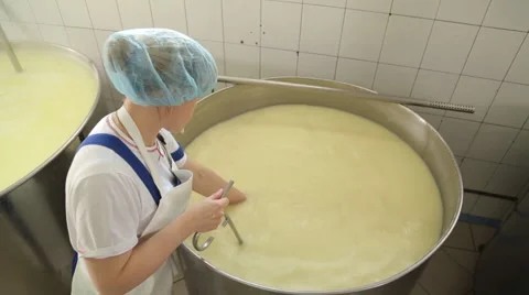 Cheese manufacture Stock Footage 64557311