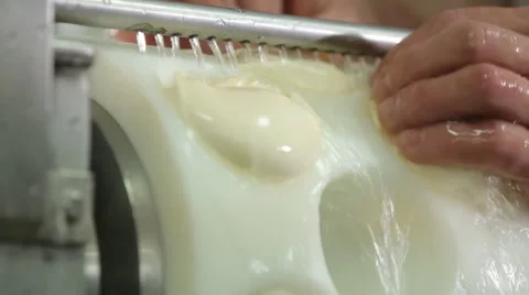 Cheese manufacture Stock Footage 64557413