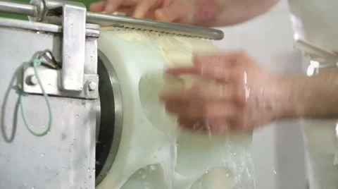 Cheese manufacture Stock Footage 64557415