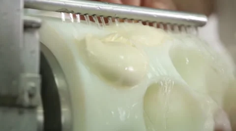 Cheese manufacture Stock Footage 64642678