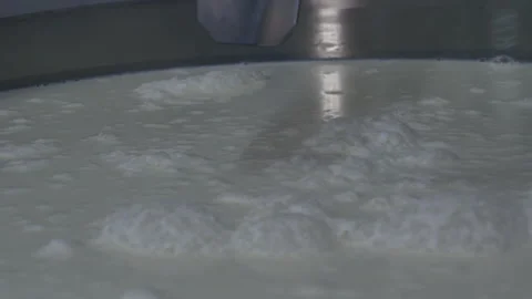 Cheese manufacturing process. Checking Milk Pasteurization Process. Milk Pasteur 스톡 동영상 131345877