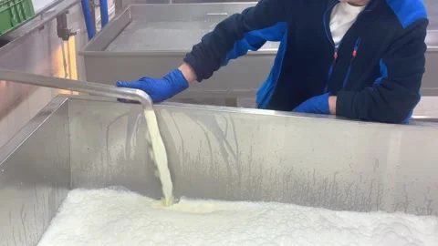 Cheese Manufacturing Process at the dairy plant Stock Footage 224748510